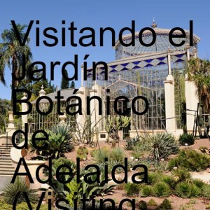 Visitando el Jardín Botánico de Adelaida (Visiting Adelaide Botanical Garden)