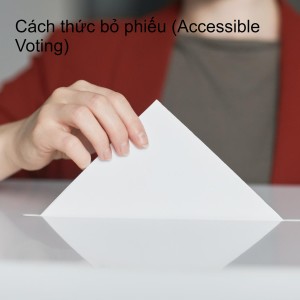 Cách thức bỏ phiếu (Accessible Voting)