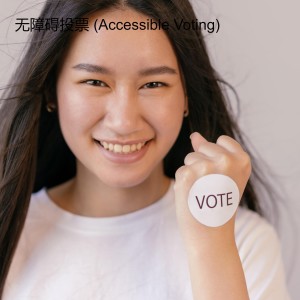 无障碍投票 (Accessible Voting)