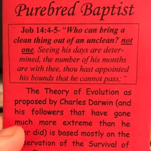 From the Pastor's Desk: Purebred Baptist