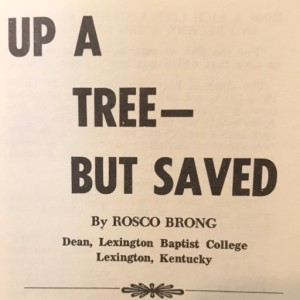 From the Pastor's Desk:  Up A Tree - But Saved