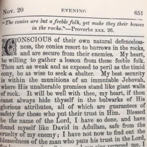 Spurgeon's Morning and Evening Nov 20 PM
