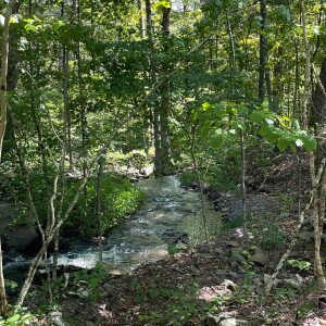 Episode 182: Master Forest Owner Program