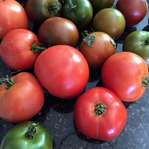 Episode 80: Tomatoes