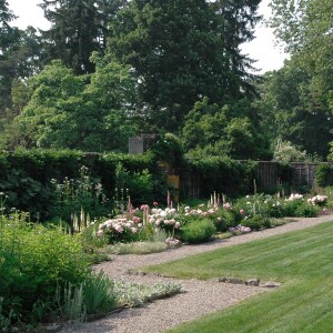 Episode 158: Beatrix Farrand Garden