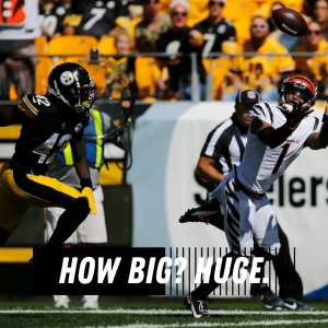 Can Steelers Lose to Bengals? Can Steelers Win AFC North?