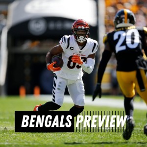 Steelers vs. Bengals Preview