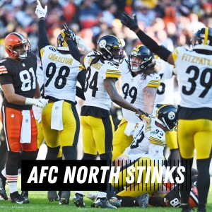 The AFC North Stinks - Can The Steelers Win It?