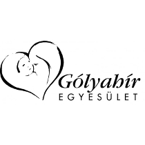 A Gólyahír Egyesület munkatársával, Mórucz Lajosné Gabi nénivel a válsághelyzetben levő édesanyákról beszélgettünk