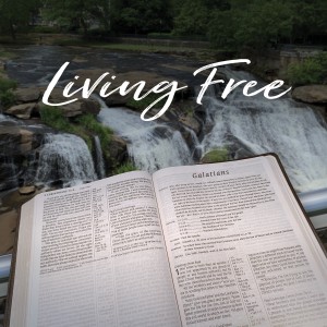 Living Free | New Life