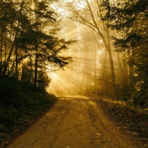 Following God Fully