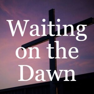 Waiting for the Dawn