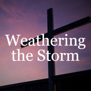 Weathering the Storm