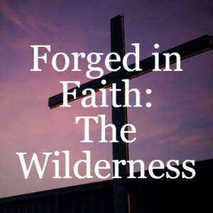 Forged in Faith: The Wilderness
