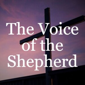 The Voice of the Shepherd