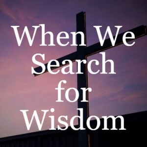 When We Search for Wisdom