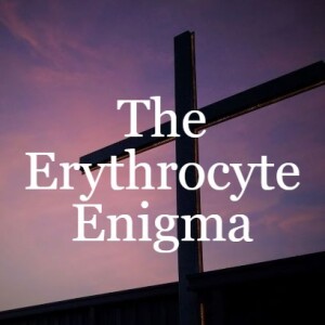 Let My People Go: The Erythrocyte Enigma