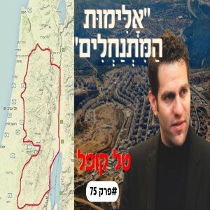 קמפיין ”אלימות מתנחלים” והמעורבות של ארה”ב בפתרון המדיני |אנחנו או הם עם טל קופל #פרק74