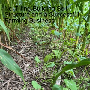 No-Tilling-Building Soil Structure and a Successful Farming Business