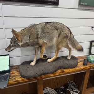 Cool Shop Projects, Commodity Classic