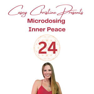 Radical Responsibility:Day 24: 30 days of microdose meditations for Inner Peace