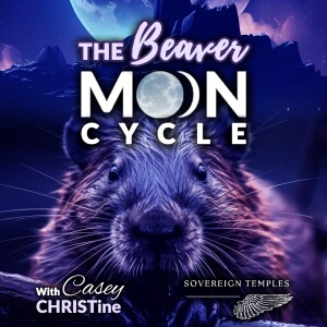 Beaver Moon Cycle Starts November 13th | Use This Time Wisely