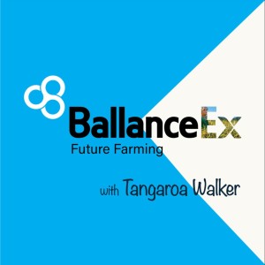 BallanceEx Future Farming Preview