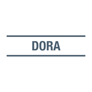 Implications of DORA for financial entities