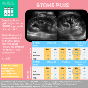 STONE PLUS - a Tool for Renal Colic