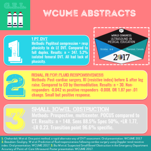 A Few Abstracts from WCUME 2017