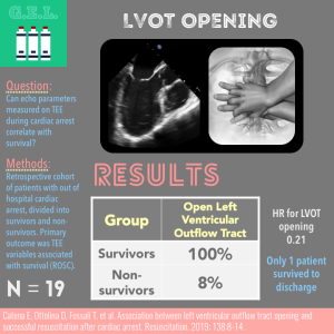 LVOT Opening in Cardiac Arrest
