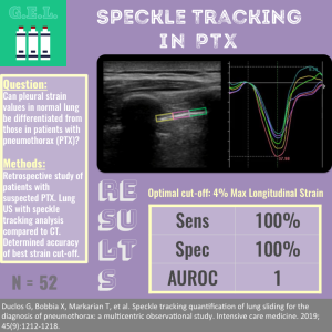 Speckle Tracking in Pneumothorax