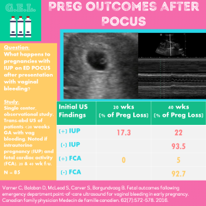 Fetal Outcomes After POCUS for Vaginal Bleeding in Pregnancy