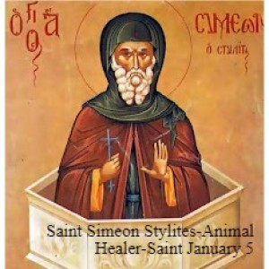 Saint Simeon Stylites- The Animal Healer
