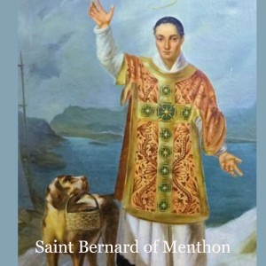 Saint Bernard of Menthon
