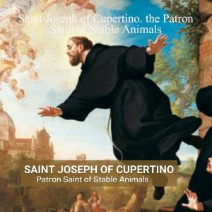Saint Joseph of Cupertino. the Patron Saint of Stable Animals