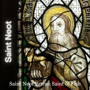 Saint Neot patron Saint of Fish