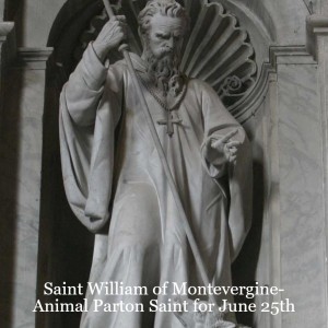 Saint William of Montevergine- Animal Parton Saint for June 25th