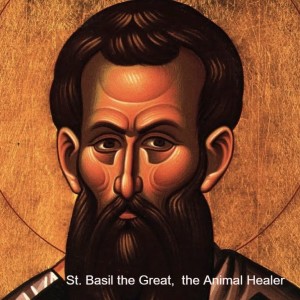 Basil the Great,  the Animal Healer