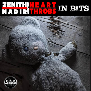 ZENITH NADIR AND THE HEART THROBS IN BITS