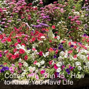 Coffee with John 45 - How to Know You Have Life...