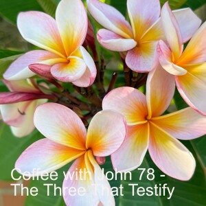 Coffee with John 78 - The Three That Testify