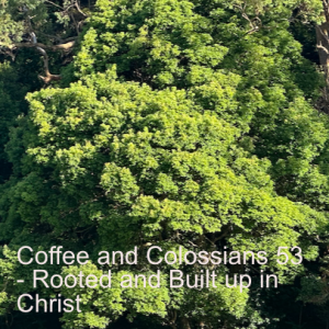 Coffee and Colossians 53 - Rooted and Built up in Christ