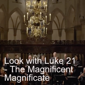 Look with Luke 21 - The Magnificent Magnificate