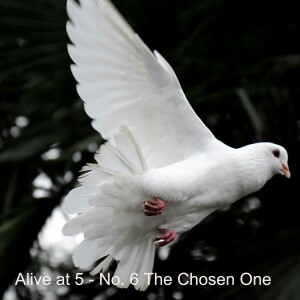 Alive at 5 - No.6 - The Chosen One