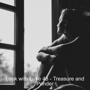 Look with Luke 48 - Treasure and Ponder