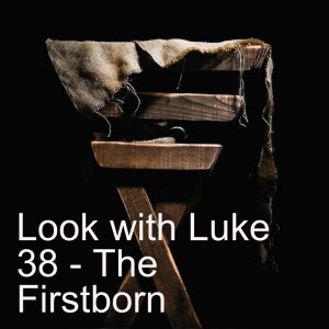 Look with Luke 38 - The Firstborn