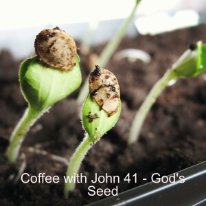 Coffee with John 41 - God's Seed