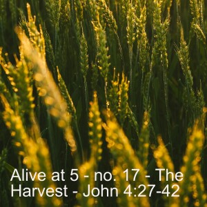 Alive at 5 - no.17 - The Harvest - John 4:27-32