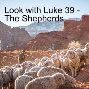 Look with Luke 39-  The Shepherds-